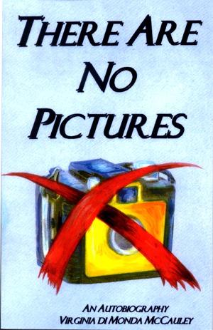 There Are No Pictures